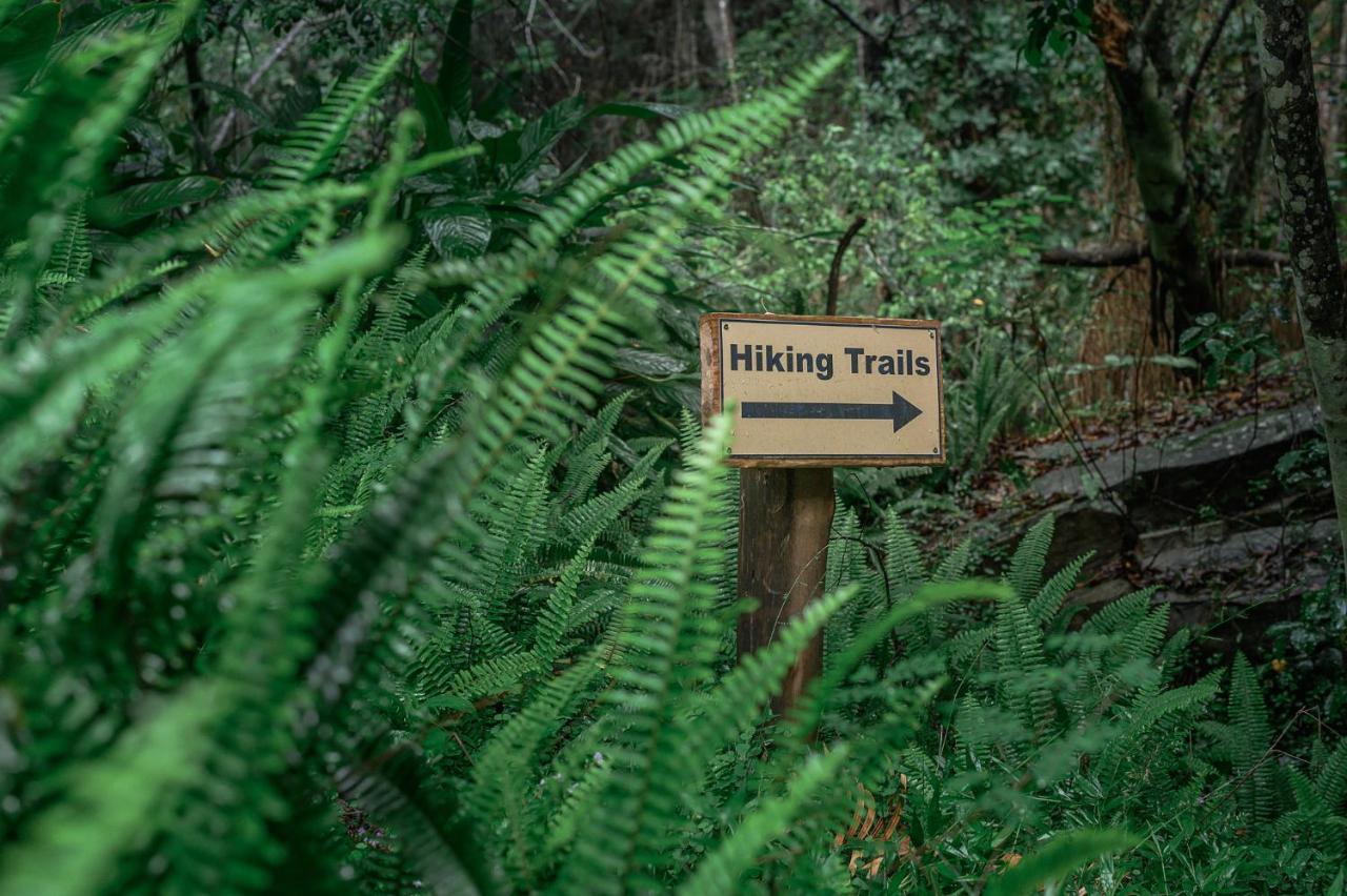 Serenity Mountain And Forest Lodge Malalane Ngoại thất bức ảnh